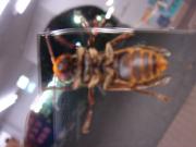 �摜(180x135)�E�g��摜(640x480)