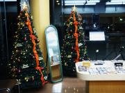 �摜(180x135)�E�g��摜(480x360)