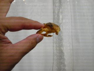 �摜(320x240)�E�g��摜(640x480)