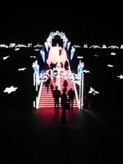 �摜(240x320)�E�g��摜(480x640)