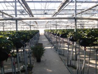 �摜(320x240)�E�g��摜(640x480)