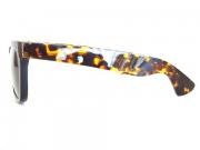 �摜(180x135)�E�g��摜(480x360)