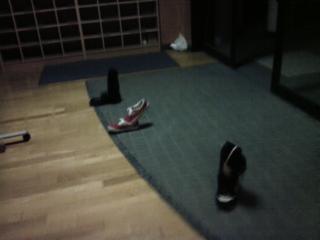 �摜(320x240)�E�g��摜(640x480)