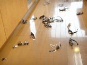 �摜(180x135)�E�g��摜(480x360)