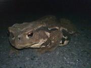 �摜(180x135)�E�g��摜(640x480)