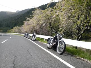 �摜(320x240)�E�g��摜(640x480)