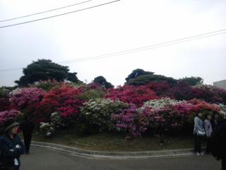 �摜(320x240)�E�g��摜(640x480)