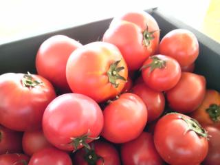 �摜(320x240)�E�g��摜(640x480)