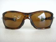 �摜(180x135)�E�g��摜(480x360)