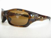 �摜(180x135)�E�g��摜(480x360)