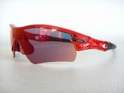 �摜(180x135)�E�g��摜(480x360)