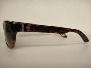 �摜(180x135)�E�g��摜(480x360)