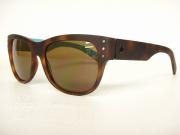 �摜(180x135)�E�g��摜(480x360)