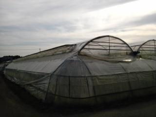 �摜(320x240)�E�g��摜(640x480)