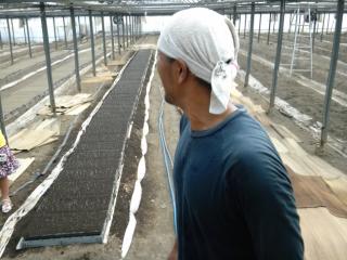 �摜(320x240)�E�g��摜(640x480)