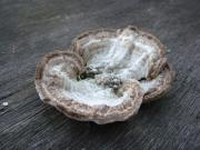 �摜(180x135)�E�g��摜(480x360)