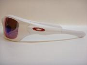 �摜(180x135)�E�g��摜(480x360)