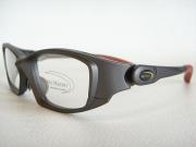 �摜(180x135)�E�g��摜(480x360)