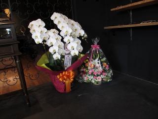 �摜(320x240)�E�g��摜(640x480)