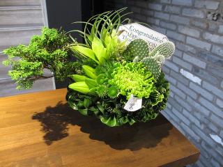 �摜(320x240)�E�g��摜(640x480)