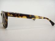 �摜(180x135)�E�g��摜(480x360)