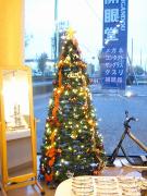 �摜(135x180)�E�g��摜(270x360)