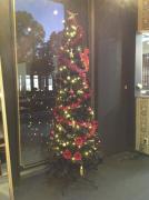 画像(134x180)・拡大画像(478x640)