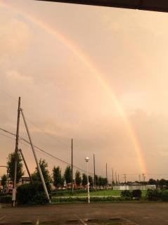 �摜(239x320)�E�g��摜(478x640)