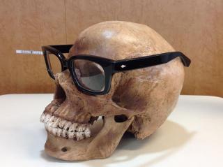 �摜(320x239)�E�g��摜(640x478)