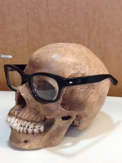 �摜(239x320)�E�g��摜(478x640)