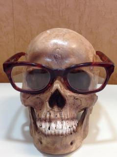 �摜(239x320)�E�g��摜(478x640)