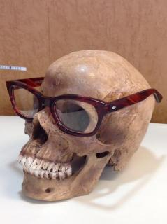 �摜(239x320)�E�g��摜(478x640)