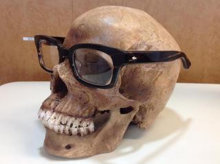 �摜(320x239)�E�g��摜(640x478)