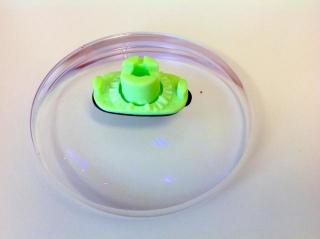 �摜(320x239)�E�g��摜(640x478)